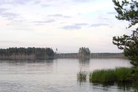 Продажа зем.уч. в Килемарах