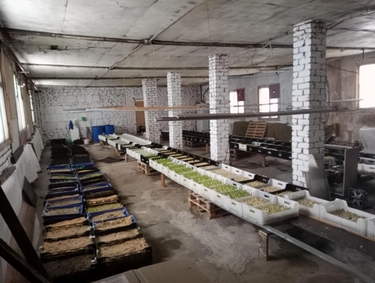 Аренда производсво 200 м2